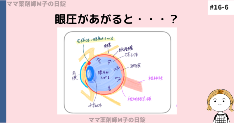 no16-5_H2-2_galucome_experience_experience_m-ko