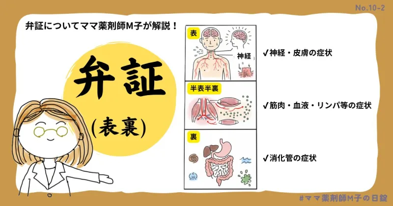 no10-2_Kanpo_sho__ママ薬剤師M子が漢方の弁証について解説_表裏について